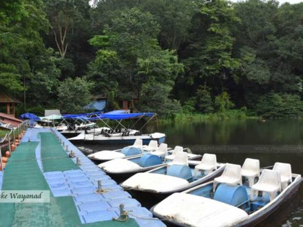 Pookot Lake Wayanad