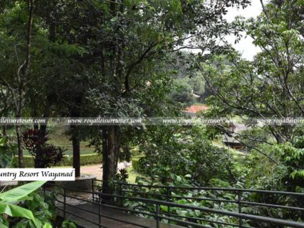 Wayanad holiday packages