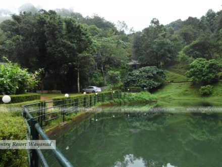 Natural Swimming pool at Wayanad