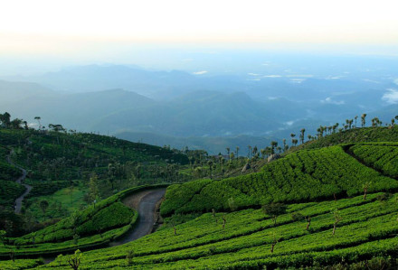 Haputale Sri Lanka