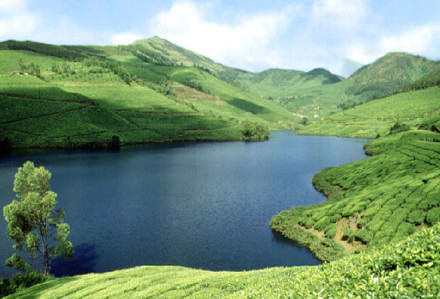 Idukki tour packages