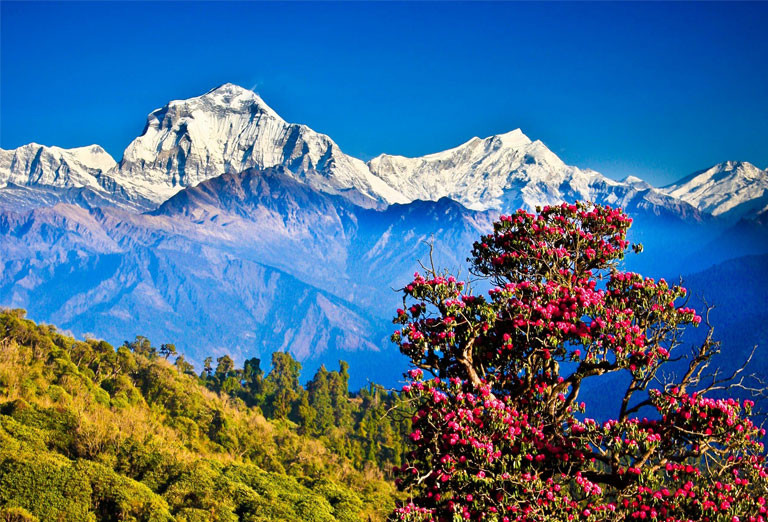 Nepal tour packages