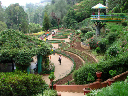 Ooty tou packages