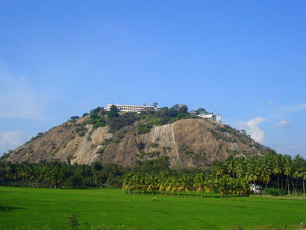 Palani