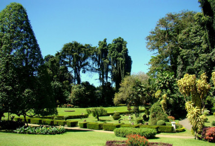 Peradeniya botanical gardens