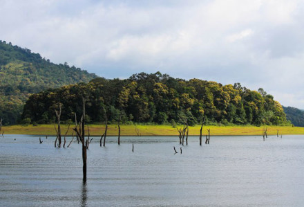 TThekkady kerala