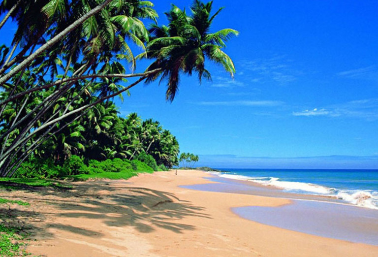 Wadduwa beach Srilanka