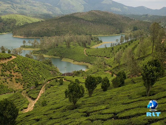 yelagiri sightseeing tour package