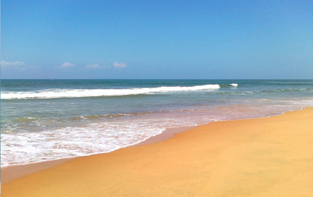 Candolim Beach Goa