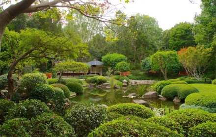 City Botanical Gardens Brisbane