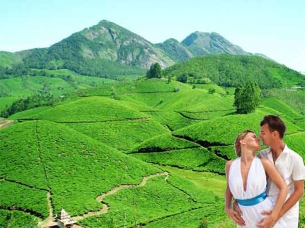 Munnar honeymoon