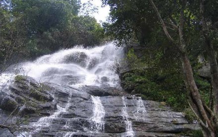 Toursit destinations in Yercaud