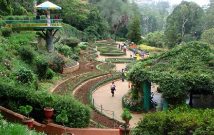 The Mystical Ooty