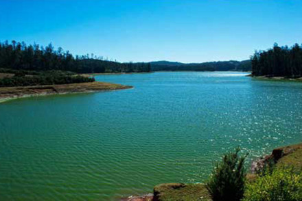 Eco-Tourism in Ooty