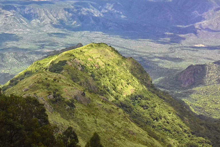 Kodanad View Point