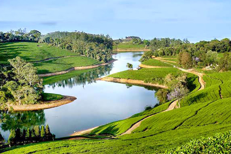 Valley View, Ooty - JungleKey.in Image